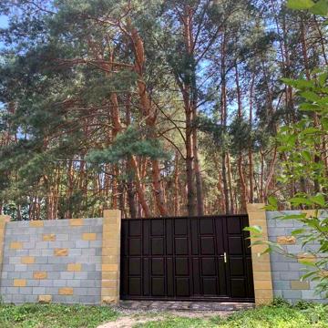 Продам дом в сосновом лесу Орловщина