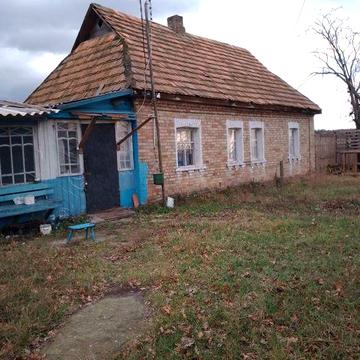 60км від Київа, центр села . с.Володимирівка  Вишгородський р-н