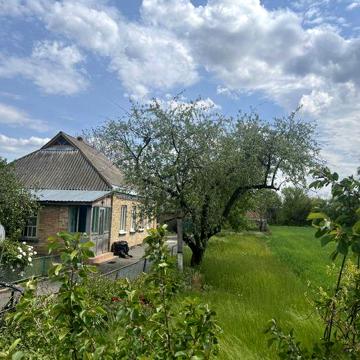Продається будинок в с.Миропілля Черкаська обл.