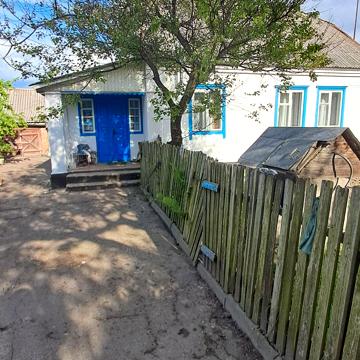 Пашини