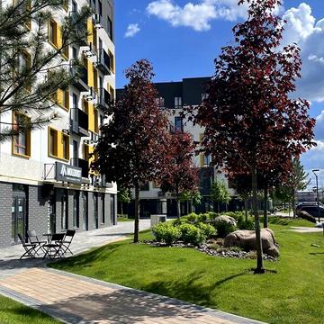 Продаж 1к Квартира Соборна (ІІІ Інтернаціоналу) вулиця ЖК Молодость