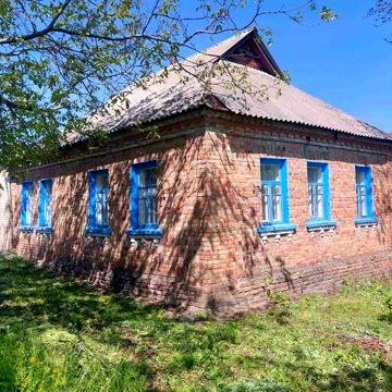 Будинок із земельною ділянкою в Димері