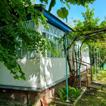 Продам будинок у Нових Санжарах. Усі комунікації в домі. Власник