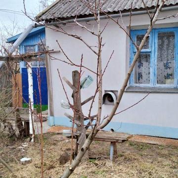 Продам 1/2 будинку с Савин (60 км від Києва)