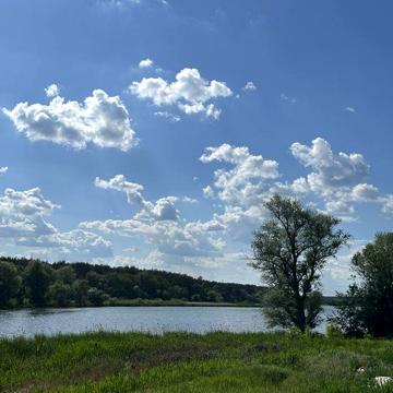 Продаж 1 кім кв, Київ, Святошинський р-н, вул. Ушакова 4