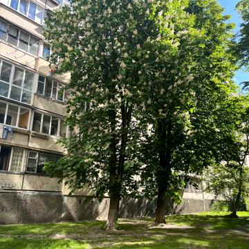 Олега Мудрака вул. (Генерала Наумова), 25