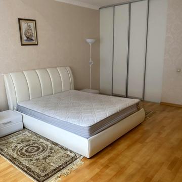 Раїси Окіпної вул., 8