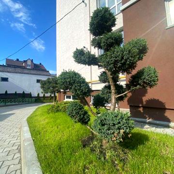 Найдешевша ТОП квартирка 1к, здана новобудова. VRV ID: 36177 ЖК Сагайдачний