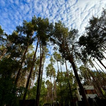 Терміновий продаж Таунхаусу в КМ Сосновий Б, Гнідин