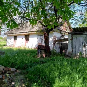 Будинок з земельною ділянкою 40 соток