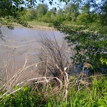 Продам недобудовану дачу в Садках,перша лінія до Прута.