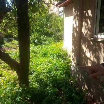 Залізна вул., 50