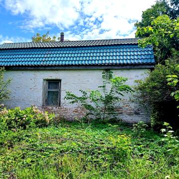 Продається будинок, с.Поліське, Чернігівська обл.