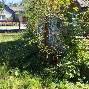 Продам хороший будинок , хороша транспортна розвязка