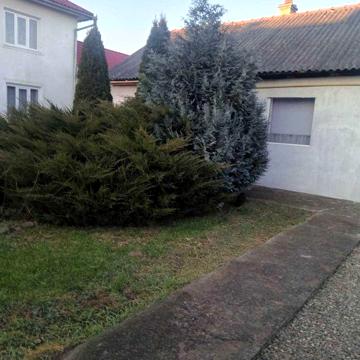 Продам будинок в смт Неполоківці