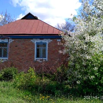 Продаю будинок з ділянкою у Полтавській області