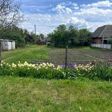 Продам будинок в Пирятині
