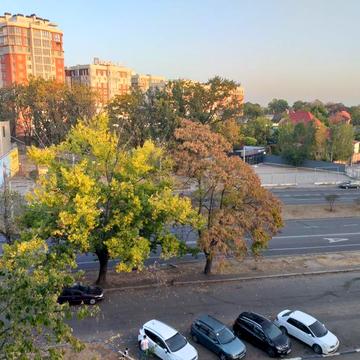 Семена Палія вул. (Дніпропетровська дорога), 72