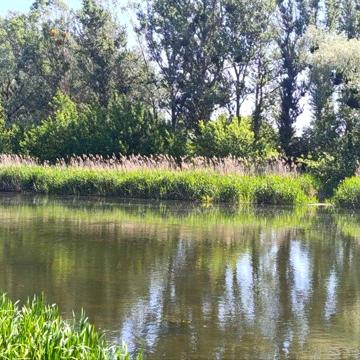 Продам дом в г. Змиёв возле реки