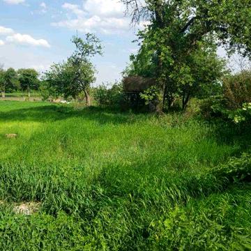 Продам дом с участком