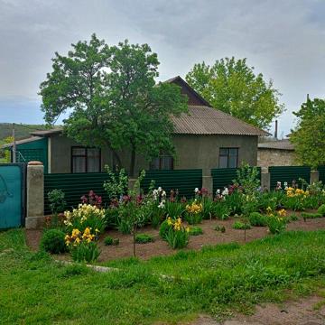 Продам будинок Одеська область Березівський район. с.Ряснопіль