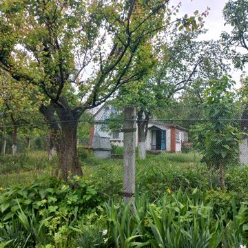 Дача в Фастові село Триліси
