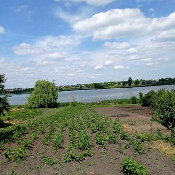 Продаж 5к Дім Бузницького вулиця