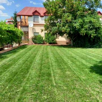 ПРОДАМ два приватних будинки з ділянками на побережжі Сичавка, Южний
