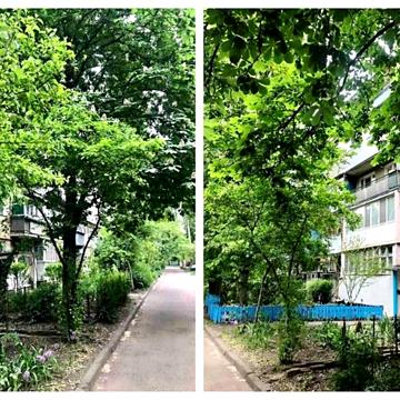 Героїв Оборони Одеси вул. (Героїв Сталінграду), 54