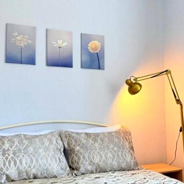 Amber loft