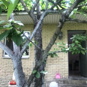 Клавдії Радченка вул.
