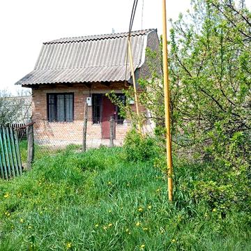 Терміново продам будинок с.Брівки,Житомирська обл.!