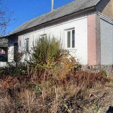 Продається будинок, Київська область, с.Демидів