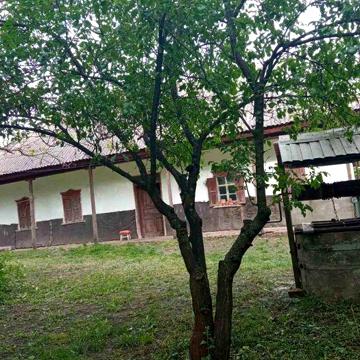 Продам садибу 046 га, недорого