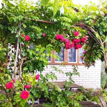 Дача вигідне розташування Ціну знижено.В самому місті