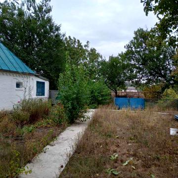 Продам будинок в затишній місцині