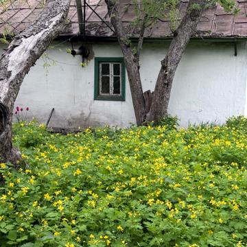 Садове товариство Академік, 3-Лінія, 103
