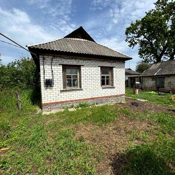 Будинок в Новому Білоусі