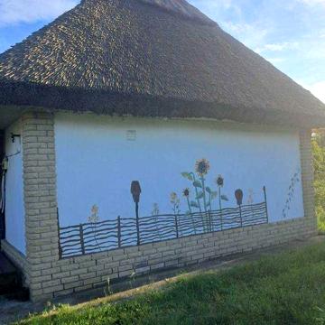 Продаж унікального будинку в Деріївці