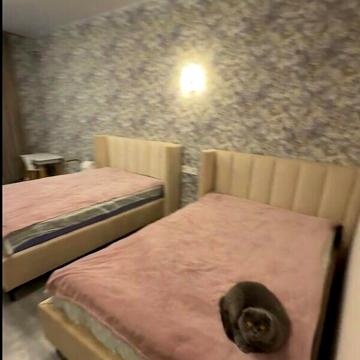 Продаж 2к Квартира Василя Стуса (Пушкінська) вулиця