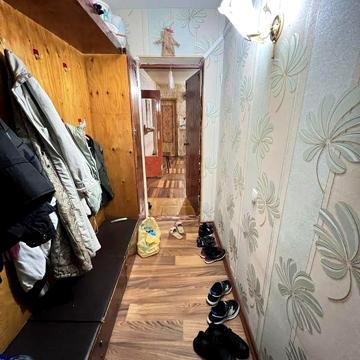 Квартира на муравейнике