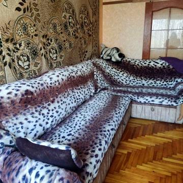 Сдается 2х кімната квартира вул Цітрусова. 5000гр.
