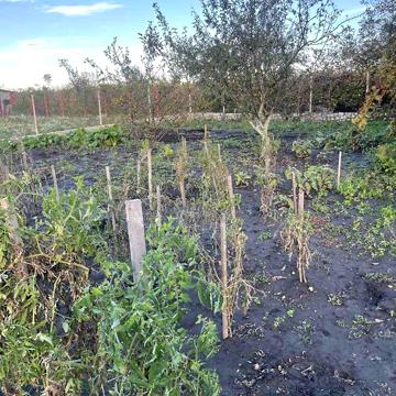 Продаж 1к Дім садове товариство Промінь