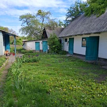 Продам хату в задовільному стані. Київська область.фастівський.р.н