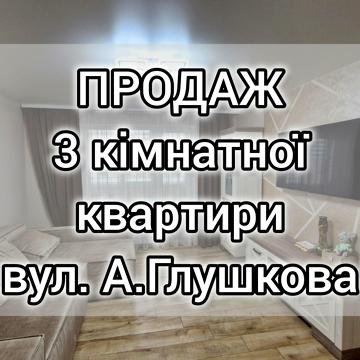 Академіка Глушкова вул., 8