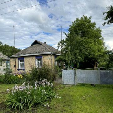Продам будинок в центрі села Стави