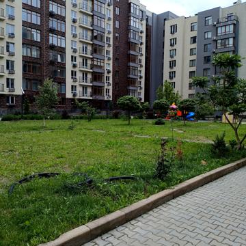 Чехова вул., 1