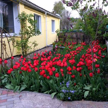 Будинок прямий вихід до річки Красна Слобідка / Германівка / Обухів