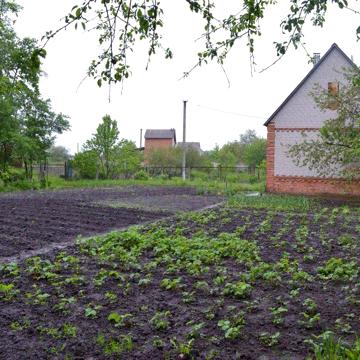 Продам дачу в Сумах (Баранівка, Блактині озера)