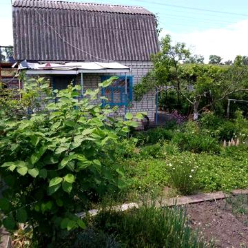 Продам дачу, відразу за ГЕС